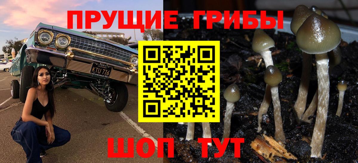 Галлюциногенные грибы мицелий  Вход с VPN  даркнет сайт  Узловая 